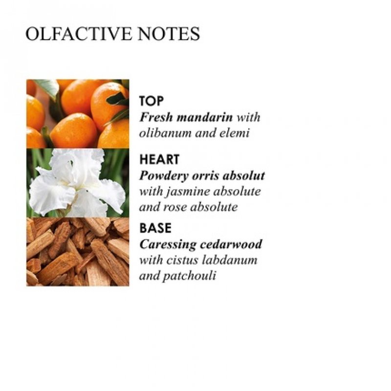 Molton Brown Suede Orris Enveloping Body Oil 100ml