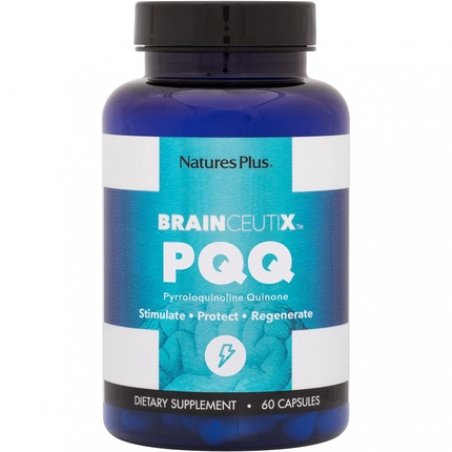 NaturesPlus Brainceutix PQQ Vegan Capsules for Memory Clarity and Brain Power 60 Capsules