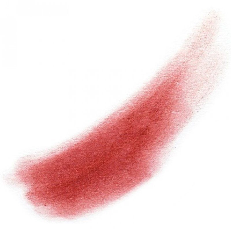 L'Oréal Paris Infallible Matte Lip Powder Stick 006 Disturbia