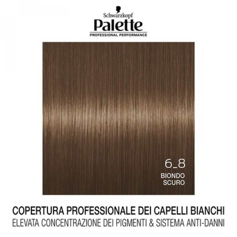 Schwarzkopf Palette Permanent Hair Color 6-8 Dark Blonde