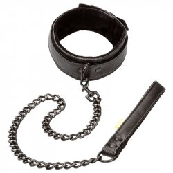 CALEX BOUNDLESS COLLAR AND LEASH