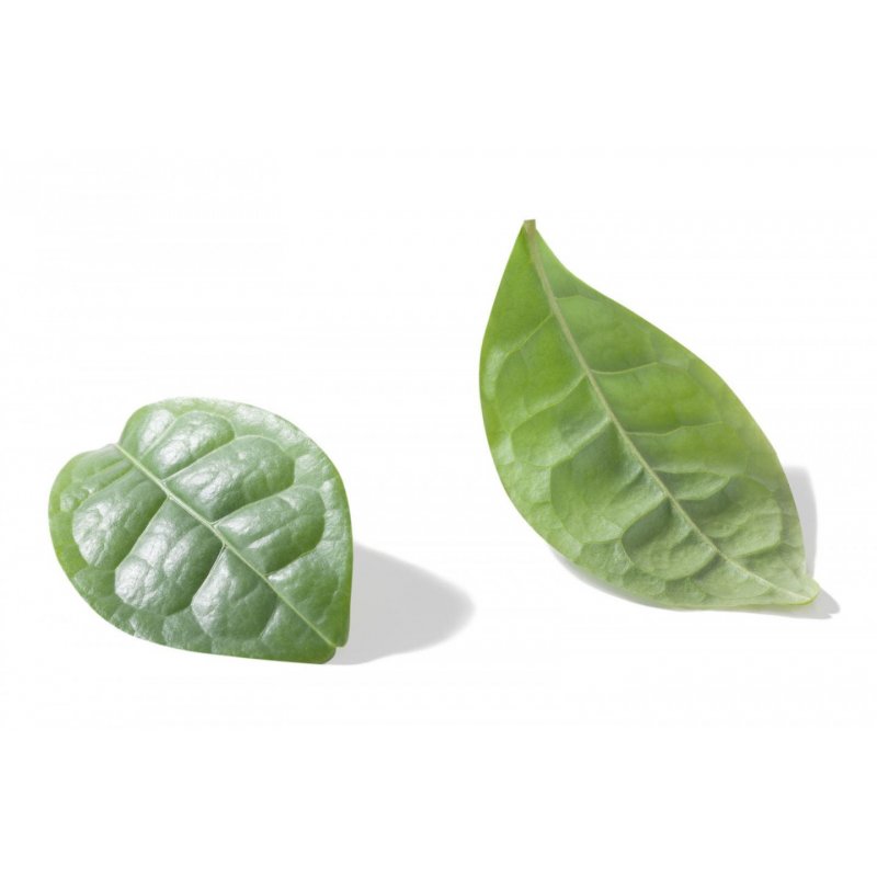 NIVEA Déodorant Femme Bille Naturally Good Green Tea Bio 50 ml