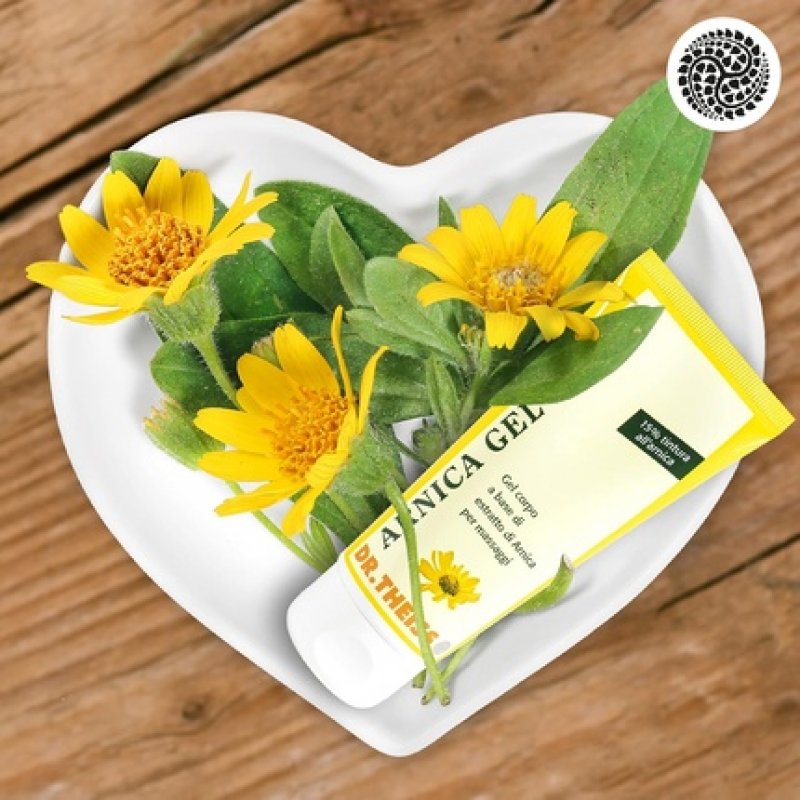 Dr Theiss Arnica Forte Gel 100ml