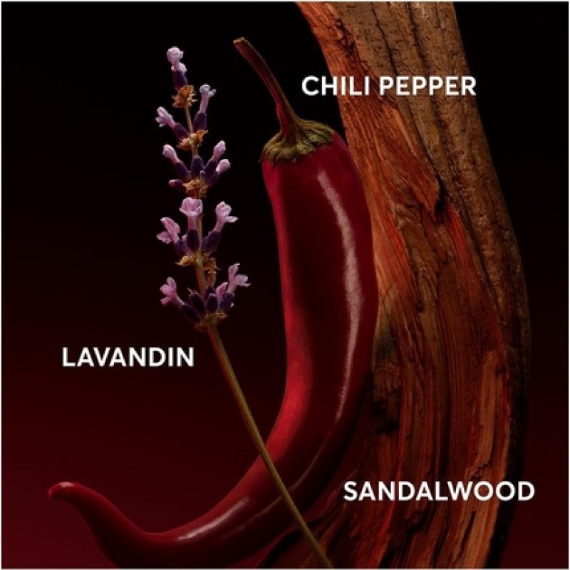 Hugo Boss The Scent Elixir for Him 50ml