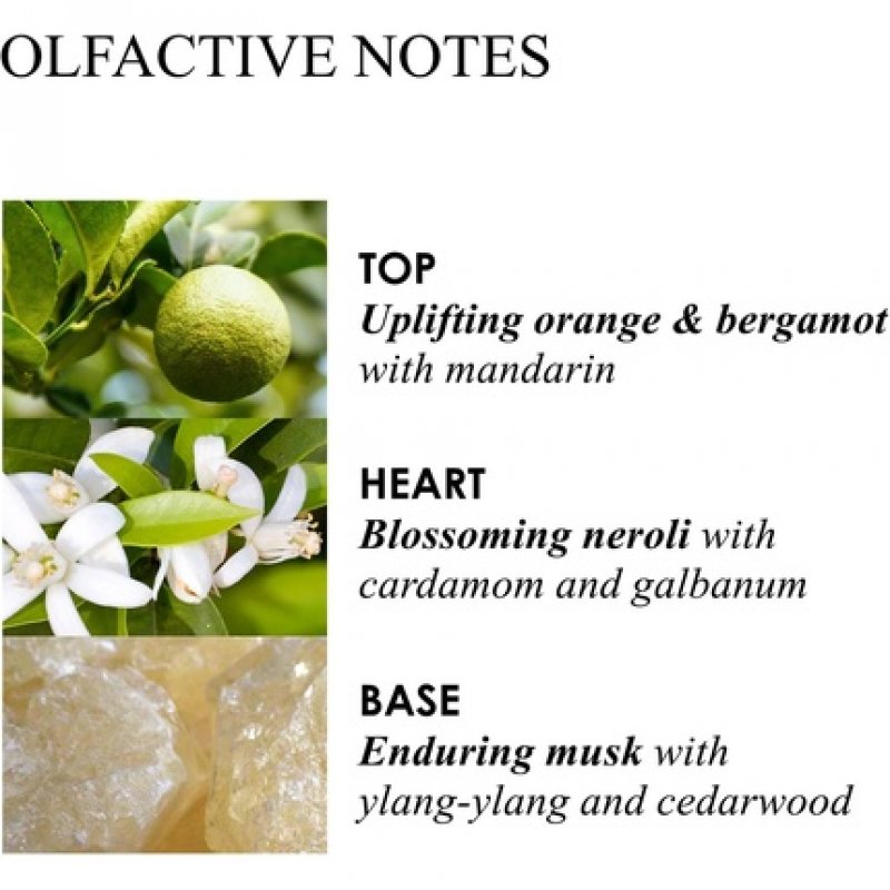 Molton Brown Orange & Bergamot Bath & Shower Gel 300ml