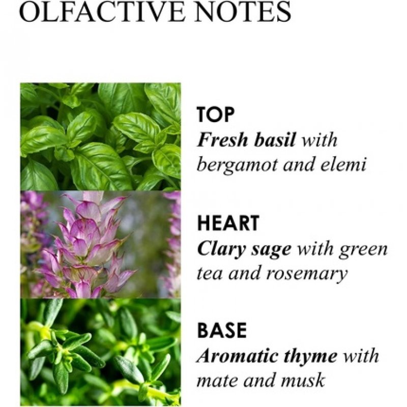 Molton Brown Refined White Mulberry Fine Liquid Hand Lotion 300ml