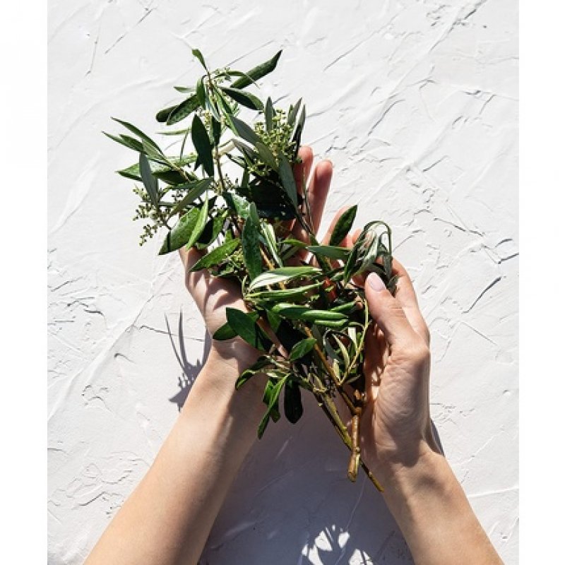 Korres Olive and Olive Blossom Shower Gel 250ml