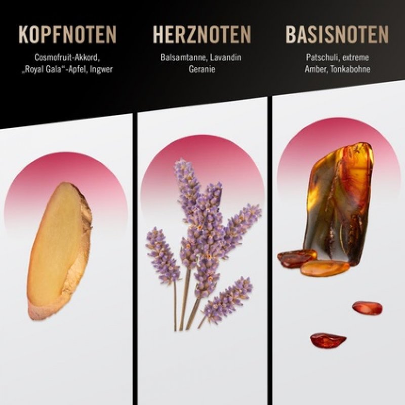 Bruno Banani Loyal Man Shower Gel 250ml