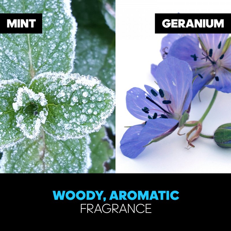 Adidas Ice Dive Adidas Eau de Toilette Spray 100ml