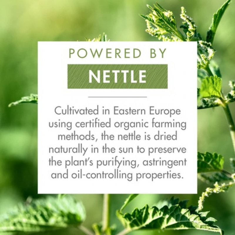 MASCARILLA CHAMPÚ 2 EN 1 A LA ORTIGA 8 sachets x 3g