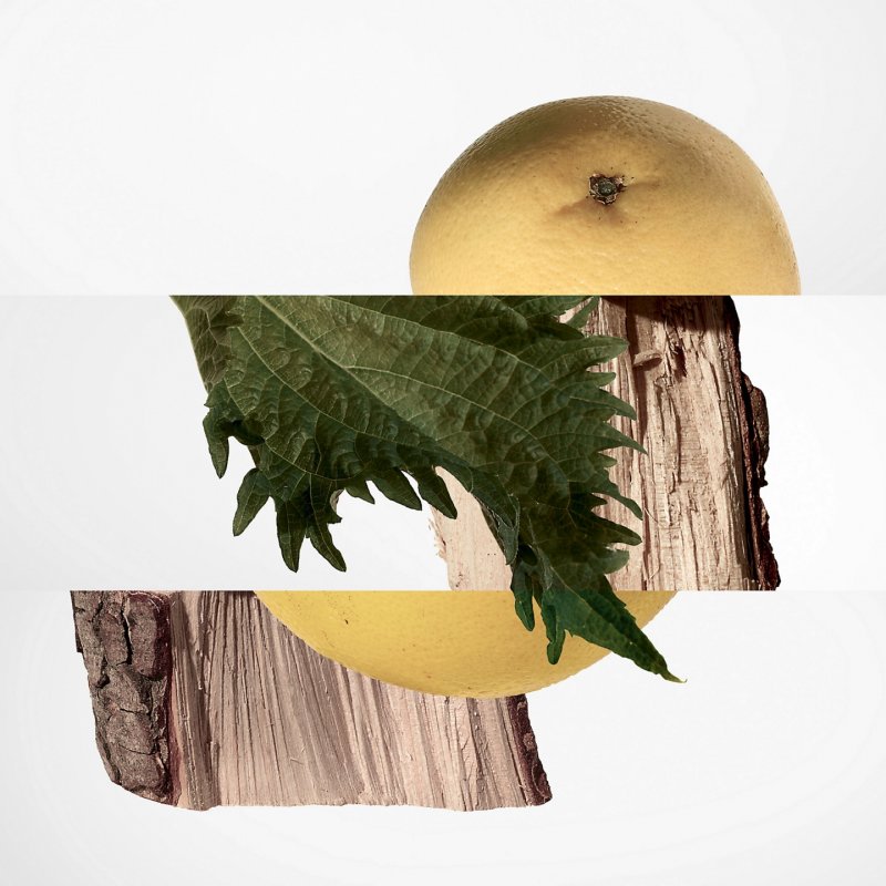 Hermes Terre d'Hermès eau de parfum 200ml