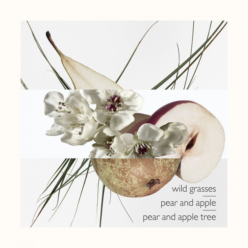 Hermes Un Jardin Sur Le Toit 50ml