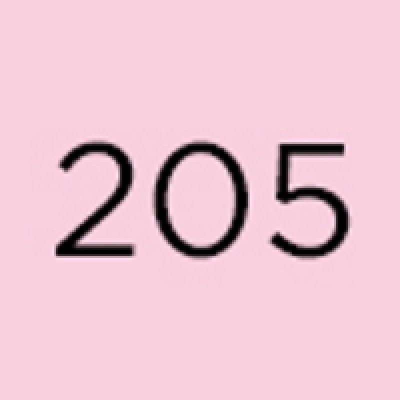 Smalto Unghie Nail Polish 205