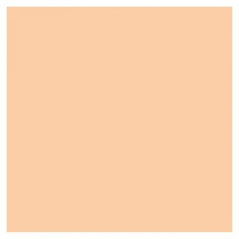 Clinique Even Better Refresh Hydrating and Repairing Makeup Foundation WN 38 Stone