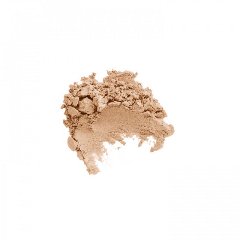 Diego dalla Palma Transparent Powder poudre de visage 22 g 101