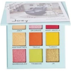 Friends Joey Eyeshadow Palette 9g