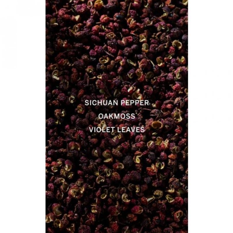 Victoria's Secret VS Him Platinum Eau de Parfum 1.7 Fl Oz