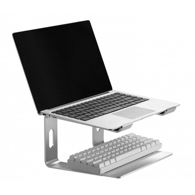 Gembird NBS-D1-01 Support de livres Supports de Laptop Aluminium, Argent 39,6 cm (15.6")