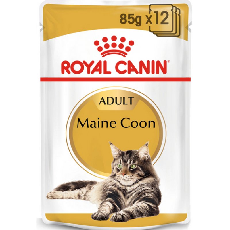 Royal Canin 9003579001202 nourriture humide pour chats 85 g