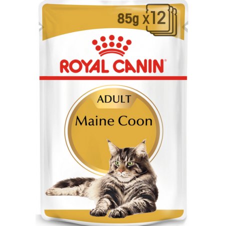 ROYAL CANIN FBN Maine Coon - Cat wet food - sachet 12x 85g