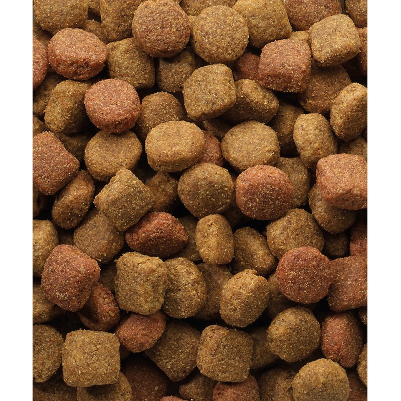 Versele-Laga Duo Krok 20 kg Senior