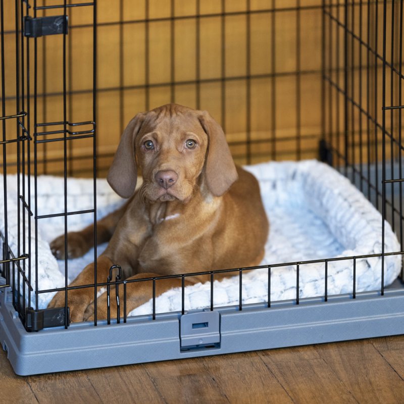 Ferplast Superior Caisse de transport pour animaux de compagnie