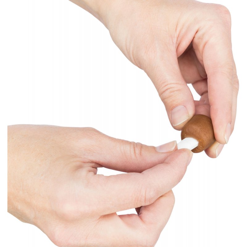 TRIXIE 25841 - Dog treat - 100 g