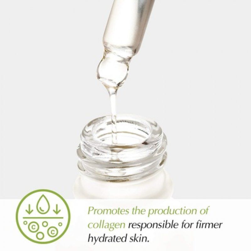 The Potions Peptide Ampoule for Face Collagen Support Anti Aging Elasticity Korean Skincare 20ml