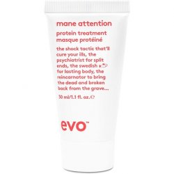 EVO Mane Attention Protein Treatment Reconstructs Repairs and Strengthens Hair 1.1 Fl Oz