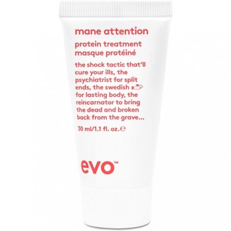 EVO Mane Attention Protein Treatment Reconstructs Repairs and Strengthens Hair 1.1 Fl Oz