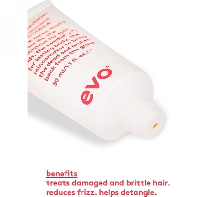 EVO Mane Attention Protein Treatment Reconstructs Repairs and Strengthens Hair 1.1 Fl Oz