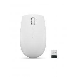 Lenovo 300 WIRELESS MOUSE?GREY souris Ambidextre RF sans fil Optique 1000 DPI