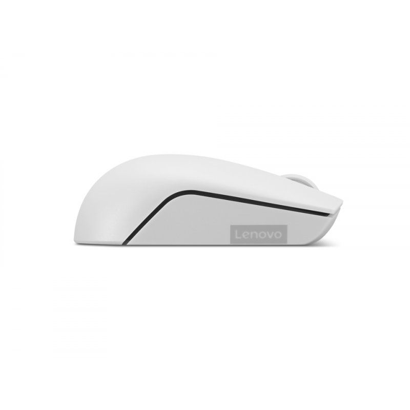 Lenovo 300 WIRELESS MOUSE?GREY souris Ambidextre RF sans fil Optique 1000 DPI