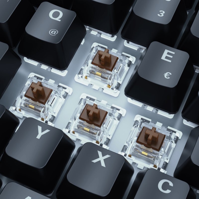 Sharkoon SGK50 S3 bk Gateron Brown DE