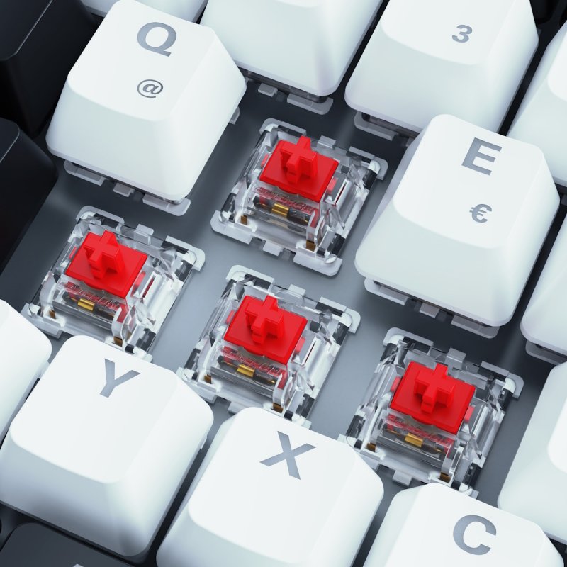 Sharkoon SGK50 S3 wh Gateron Red DE