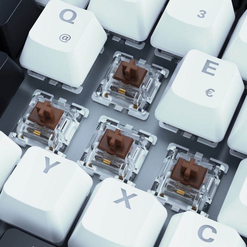 Sharkoon SGK50 S3 wh Gateron Brown DE
