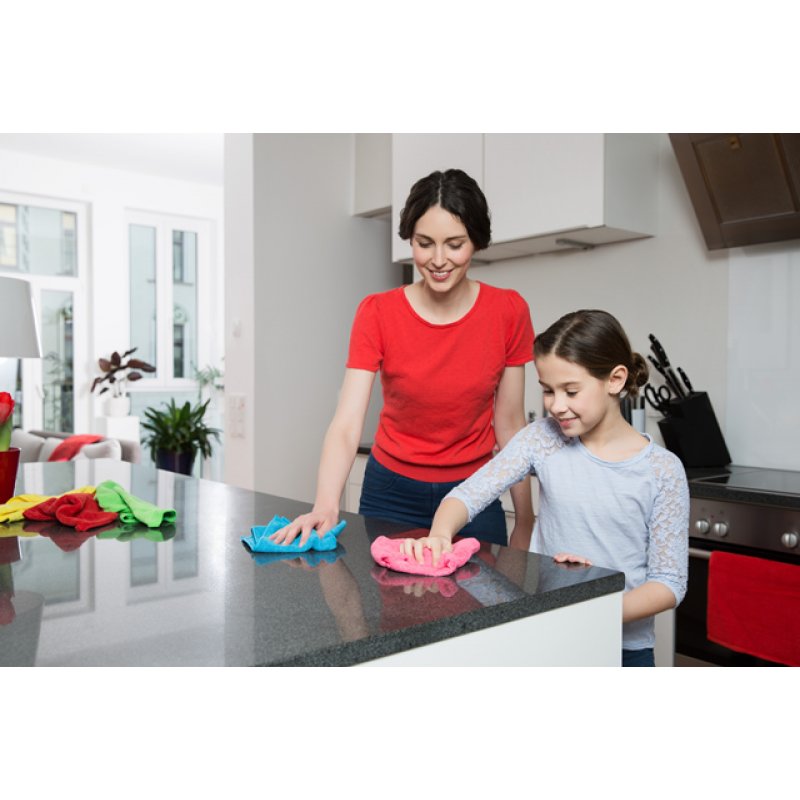 Cleaning Cloth Vileda Microfibre Colors 8 pcs