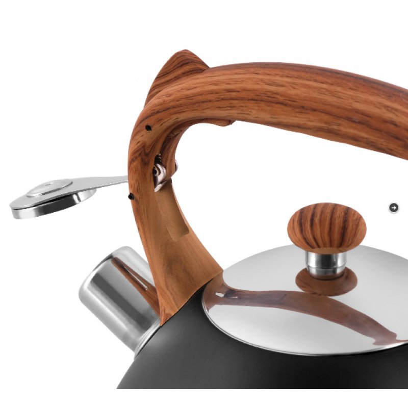 Promis TMC12 bouilloire 3 L Noir, Acier inoxydable