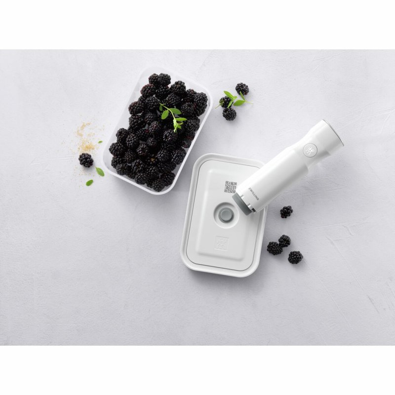 ZWILLING FRESH & SAVE Boîte de rangement alimentaire Plastique, Silicone Gris 1 pièce(s)