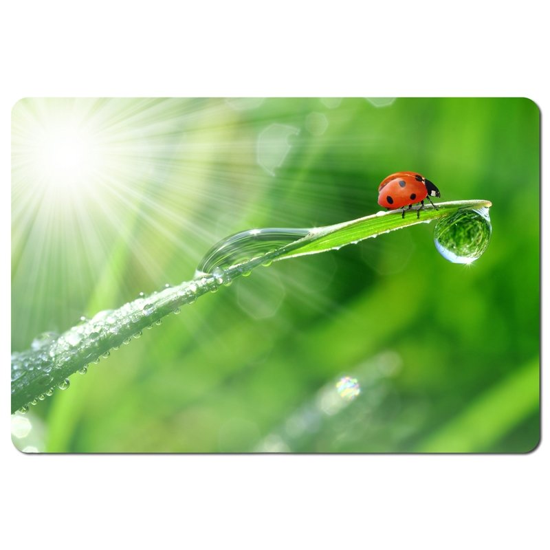 Esperanza EA133 tapis de souris Multicolore