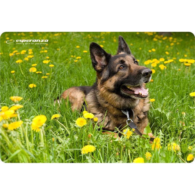 Esperanza EA133 tapis de souris Multicolore