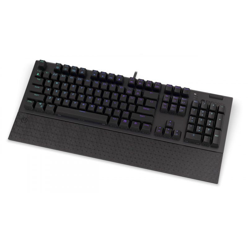 ENDORFY Omnis keyboard USB QWERTY Black