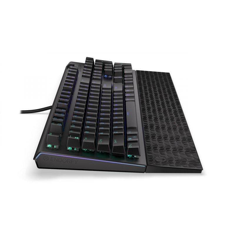 ENDORFY Omnis clavier USB QWERTY Noir