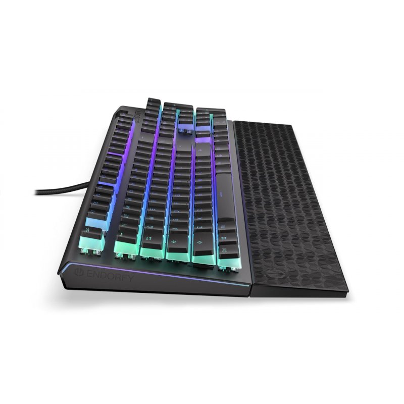 ENDORFY Omnis clavier USB QWERTY Noir