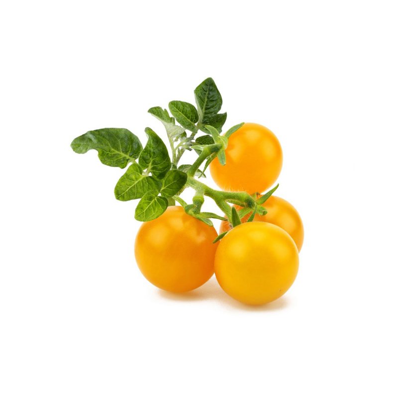 Click & Grow Yellow Mini Tomato Plant Pods