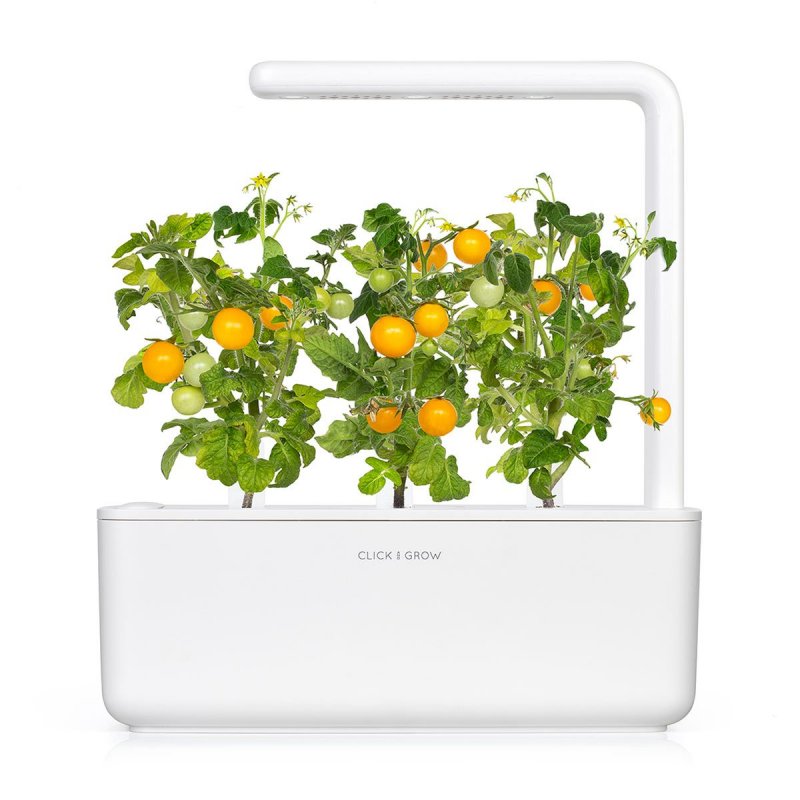 Click and Grow - Smart Garden Refill 3-pack Yellow Tomato