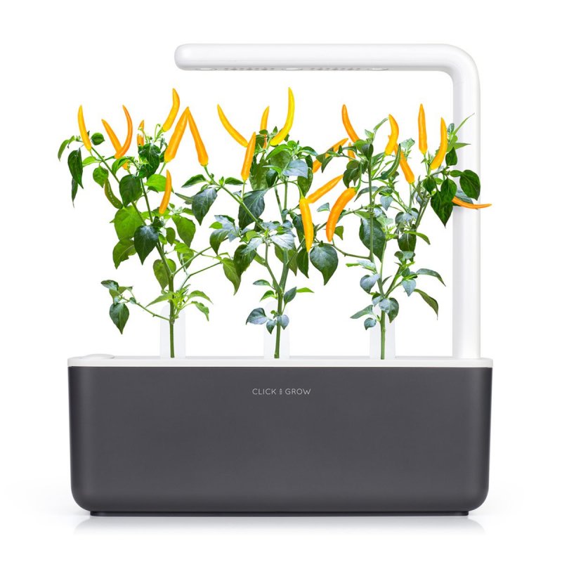 Click and Grow -- Smart Garden Refill 3-pack Yellow Chili Pepper