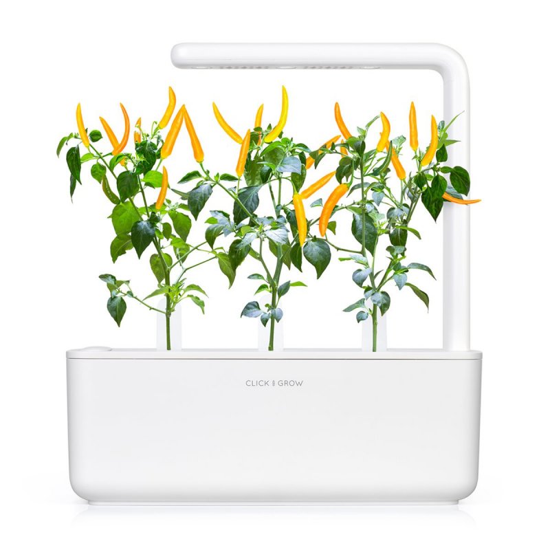 Click & Grow YELLOW CHILI PEPPER PLANT PODS