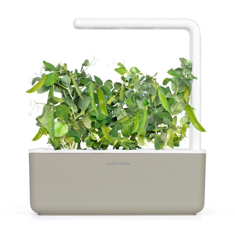 Click & Grow DWARF PEA PLANT PODS