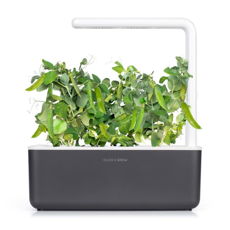 STOCK2-Click & Grow POIS NAIN